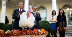 Nov. 25, 2015: The President and his daughters Sasha and Malia participate in the annual National Thanksgiving Turkey pardon ceremony in the Rose Garden with National Turkey Federation Chairman Jihad Douglas. Read more at http://www.businessinsider.my/white-houses-photos-pete-souza-2015-12/52/#q2TlPXhQlmJdjF3p.99