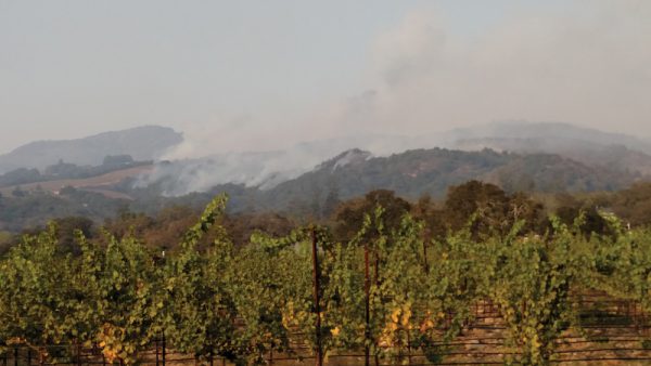 Beltane-Ranch-vineyards-and-smoke