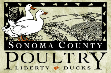 liberty_ducks_logo