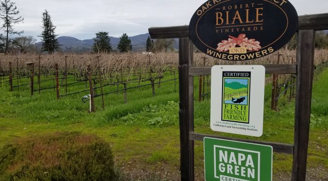Robert Biale Vineyards Features Fine Zin On THE VARIETAL SHOW!